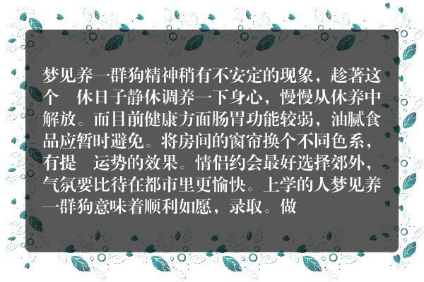 梦见养一群狗是什么意思有什么预兆