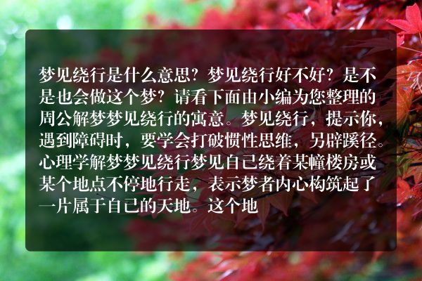梦见绕行