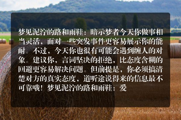 梦见泥泞的路和雨鞋是什么意思有什么预兆